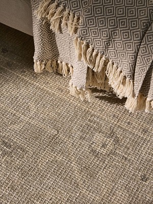 Rug Lorenzo Light Grey 150x230 cm